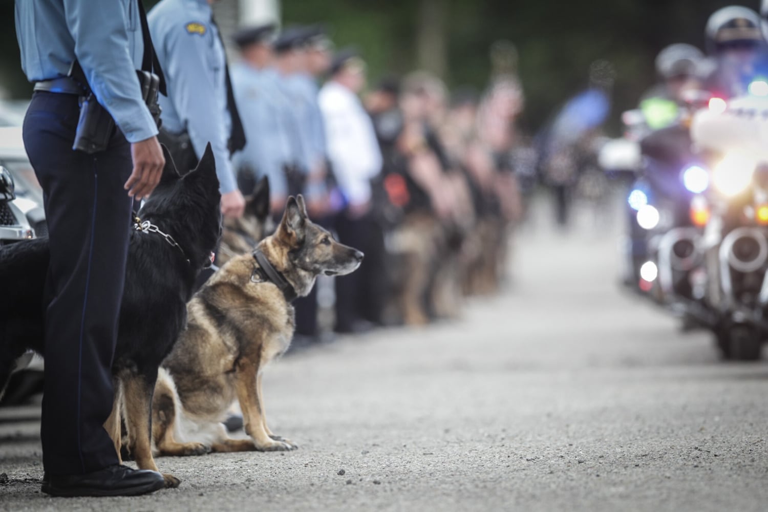 PHOTOS: Dayton police pay respects to K9 Phantom