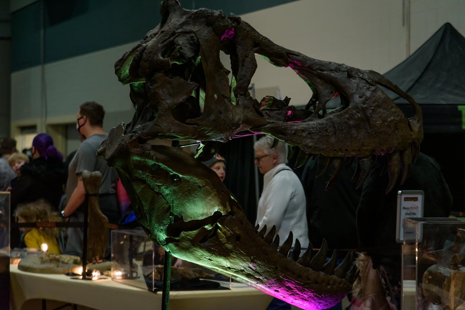 PHOTOS: Did we spot you hanging out with dinosaurs at Jurassic Quest at the Dayton Convention Center?