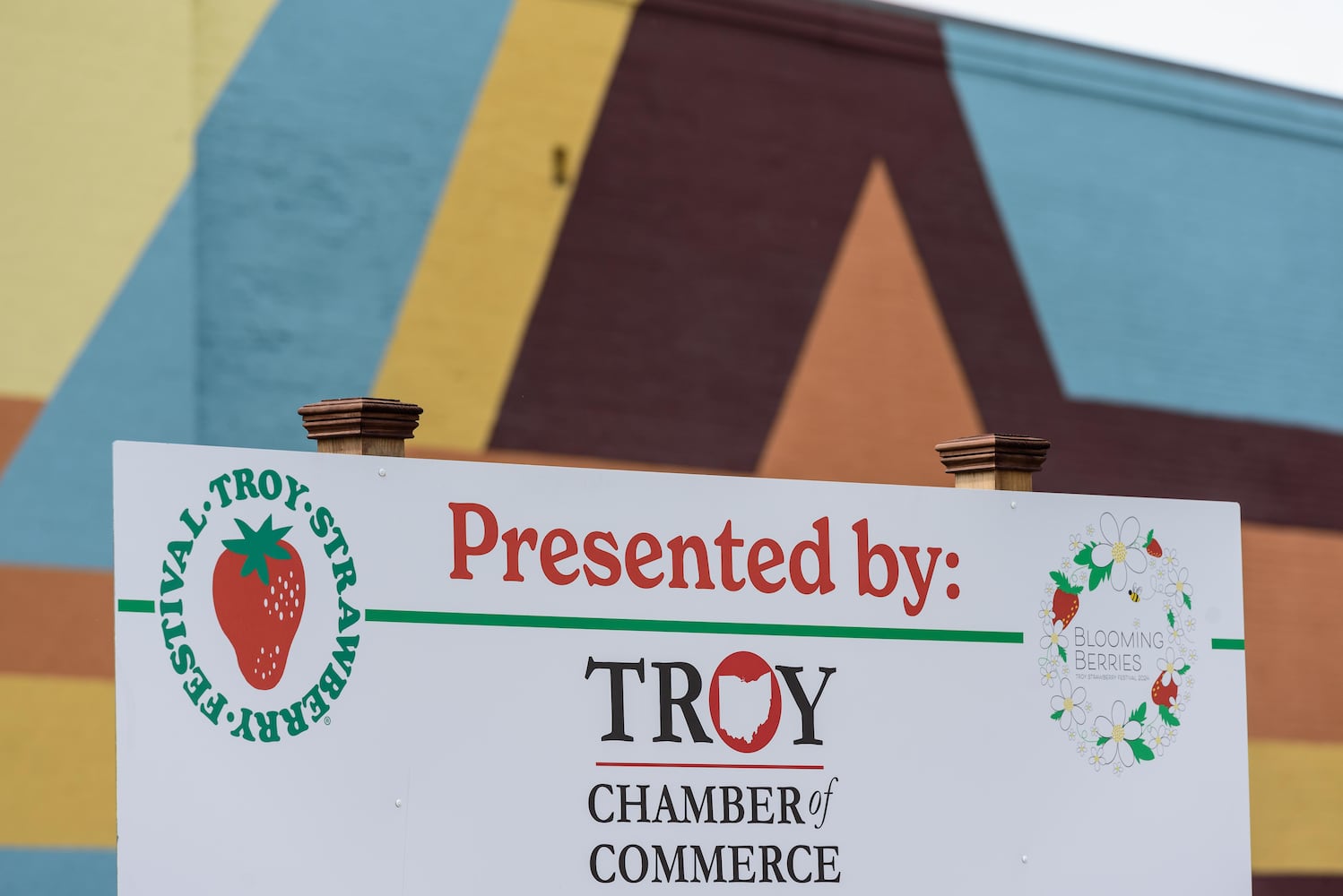 PHOTOS: 48th annual Troy Strawberry Festival