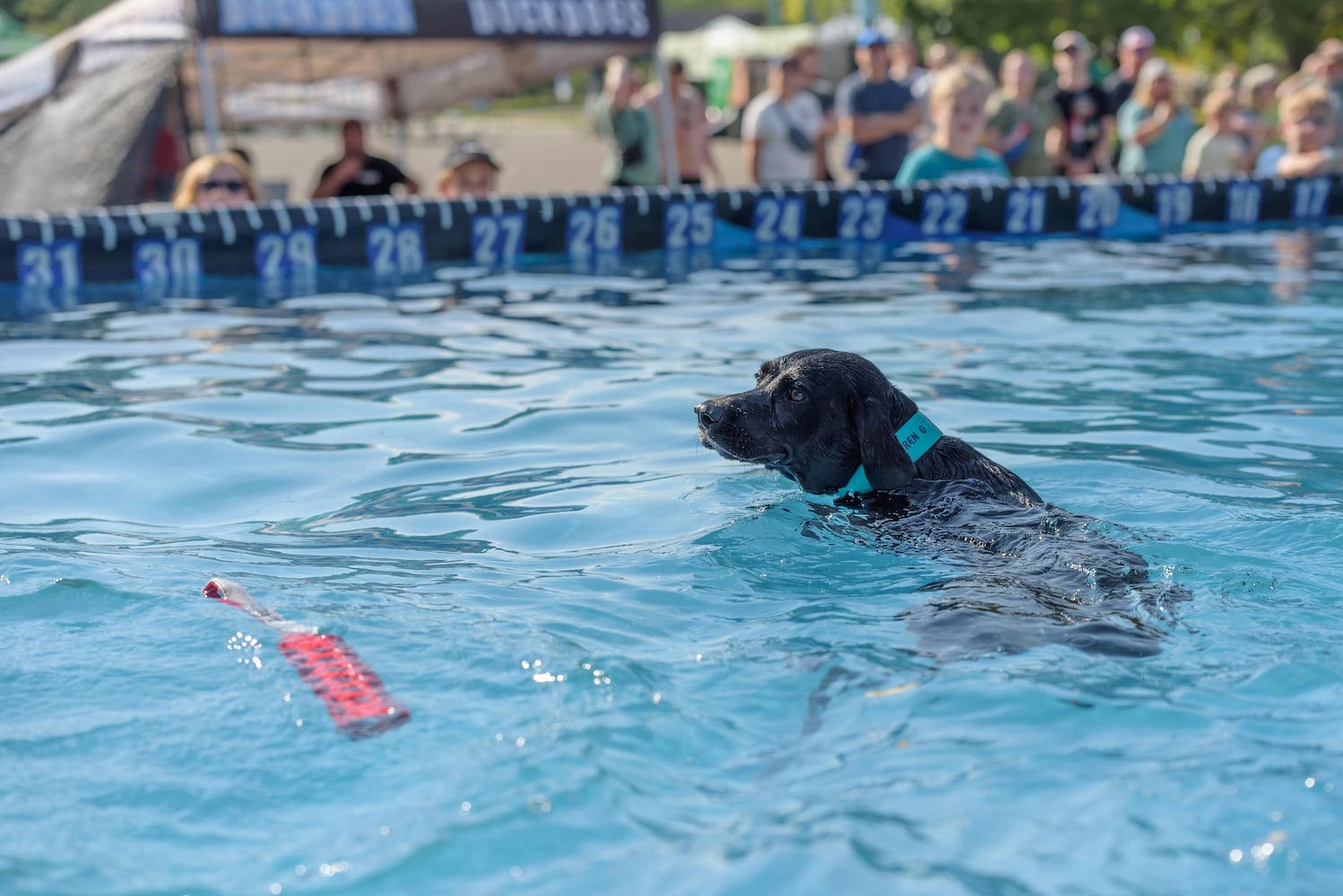 PHOTOS: 2024 Wagner Subaru Outdoor Experience at Eastwood MetroPark