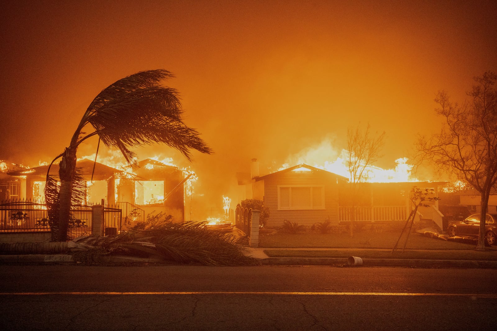 Trees sway in high winds as the Eaton Fire burns structures Wednesday, Jan. 8, 2025 in Altadena, Calif. (AP Photo/Ethan Swope)