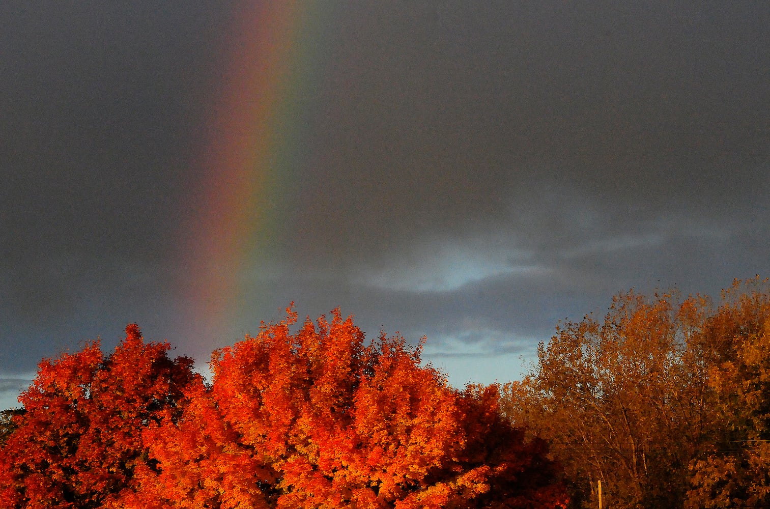 Fall colors rainbow