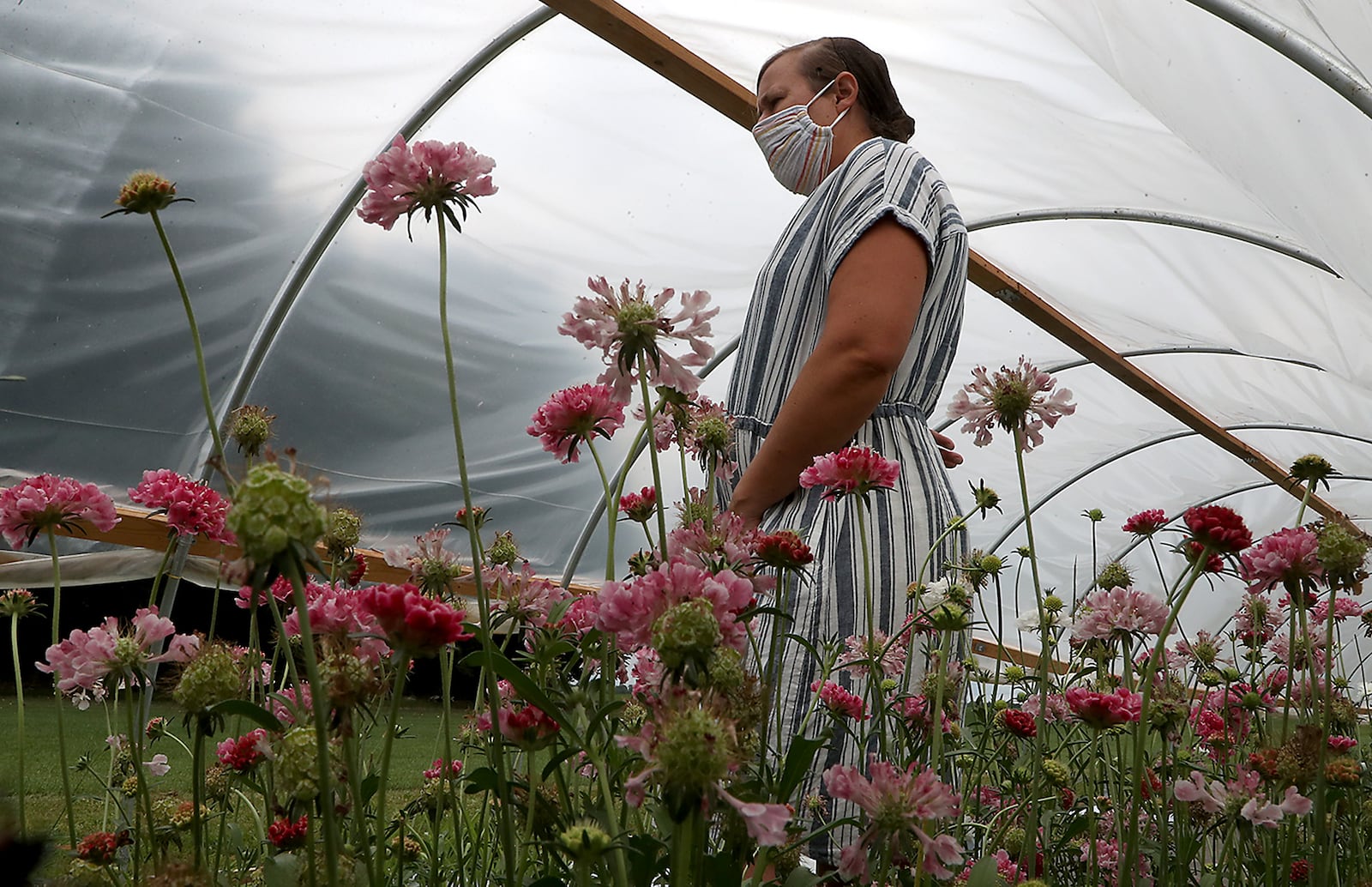 Wendy Lavy, owner of Consider the Lillies flower farm in New Carlisle, talks about the flowers they have growning in a greenhouse Wednesday. BILL LACKEY/STAFF