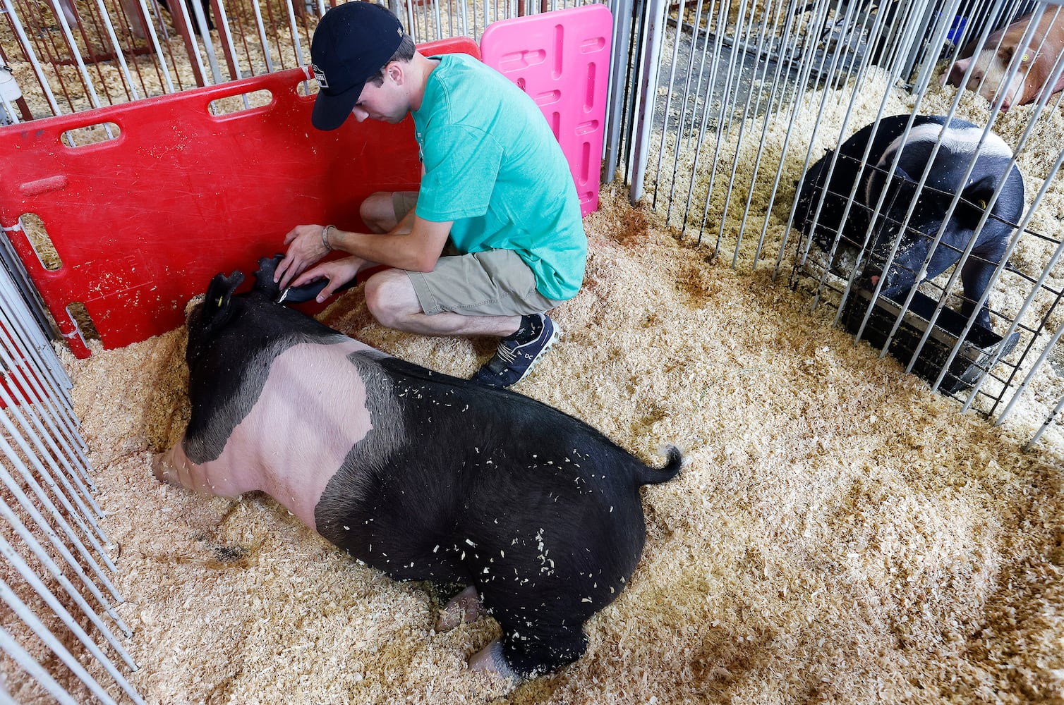 Montgomery County Fair