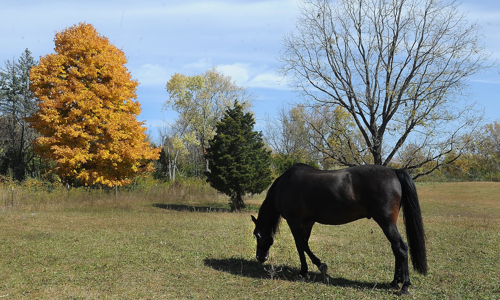 fall colors