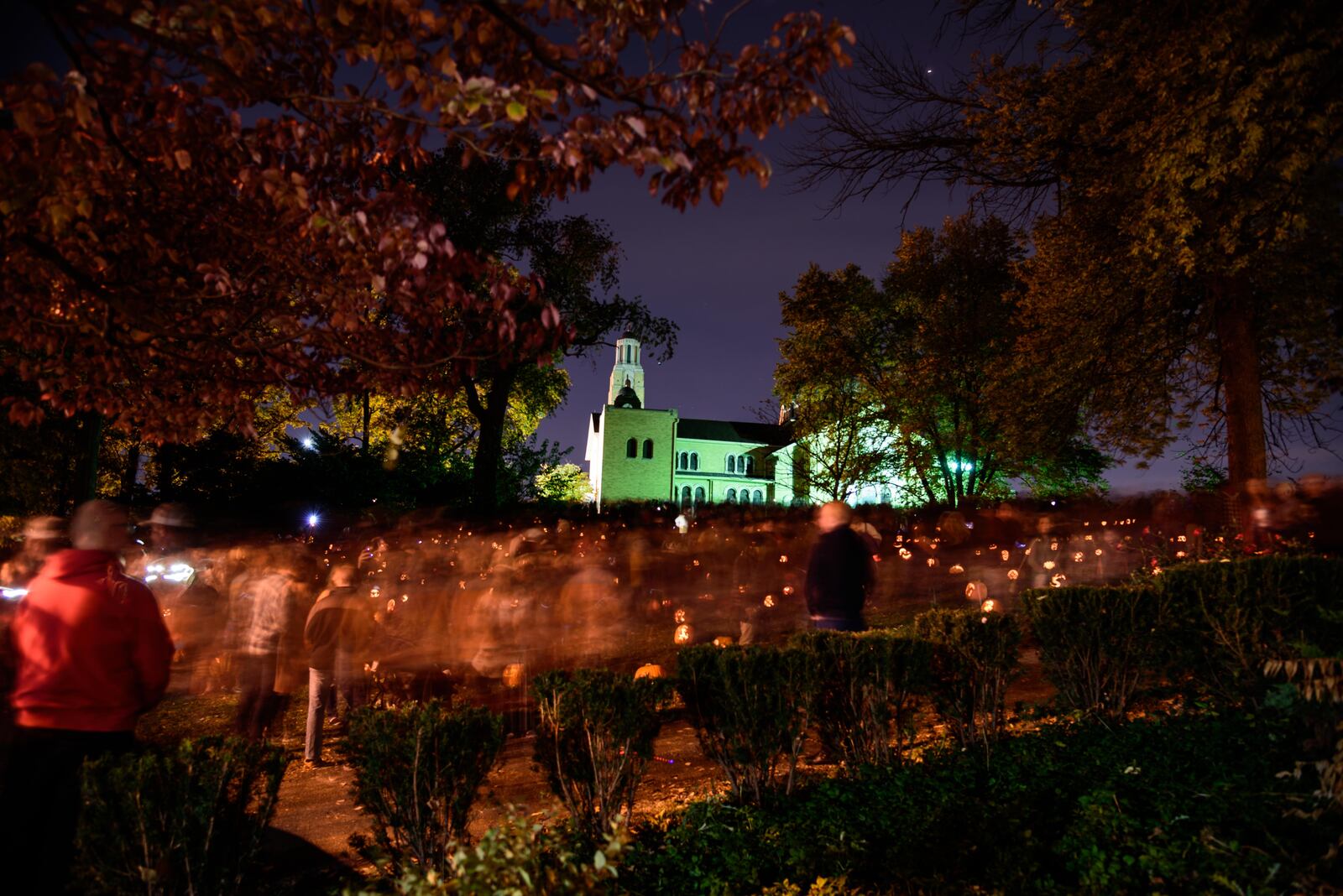 The Dayton community came together to carve over one thousand pumpkins for this year's annual Stoddard Avenue Pumpkin Glow. You can bask in the glow of these pumpkins near the Dayton Art Institute and Annunciation Greek Orthodox Church on Oct. 30-31. TOM GILLIAM / CONTRIBUTING PHOTOGRAPHER