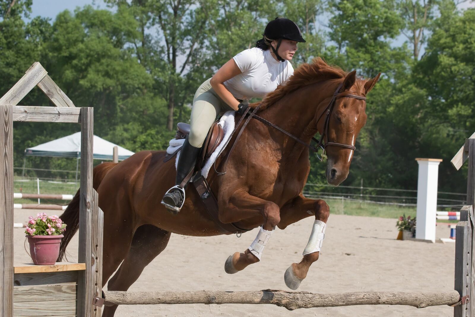 A photo of an equestrian event at Serenity Valley Farm on June 20, 2020. ADAM ALONZO/CONTRIBUTED