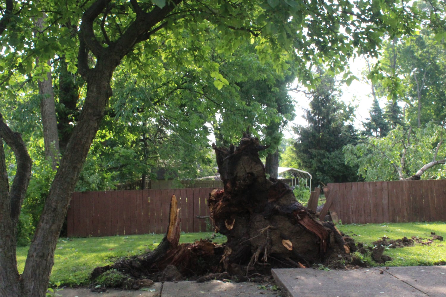 PHOTOS: Daylight reveals widespread damage from Monday storms