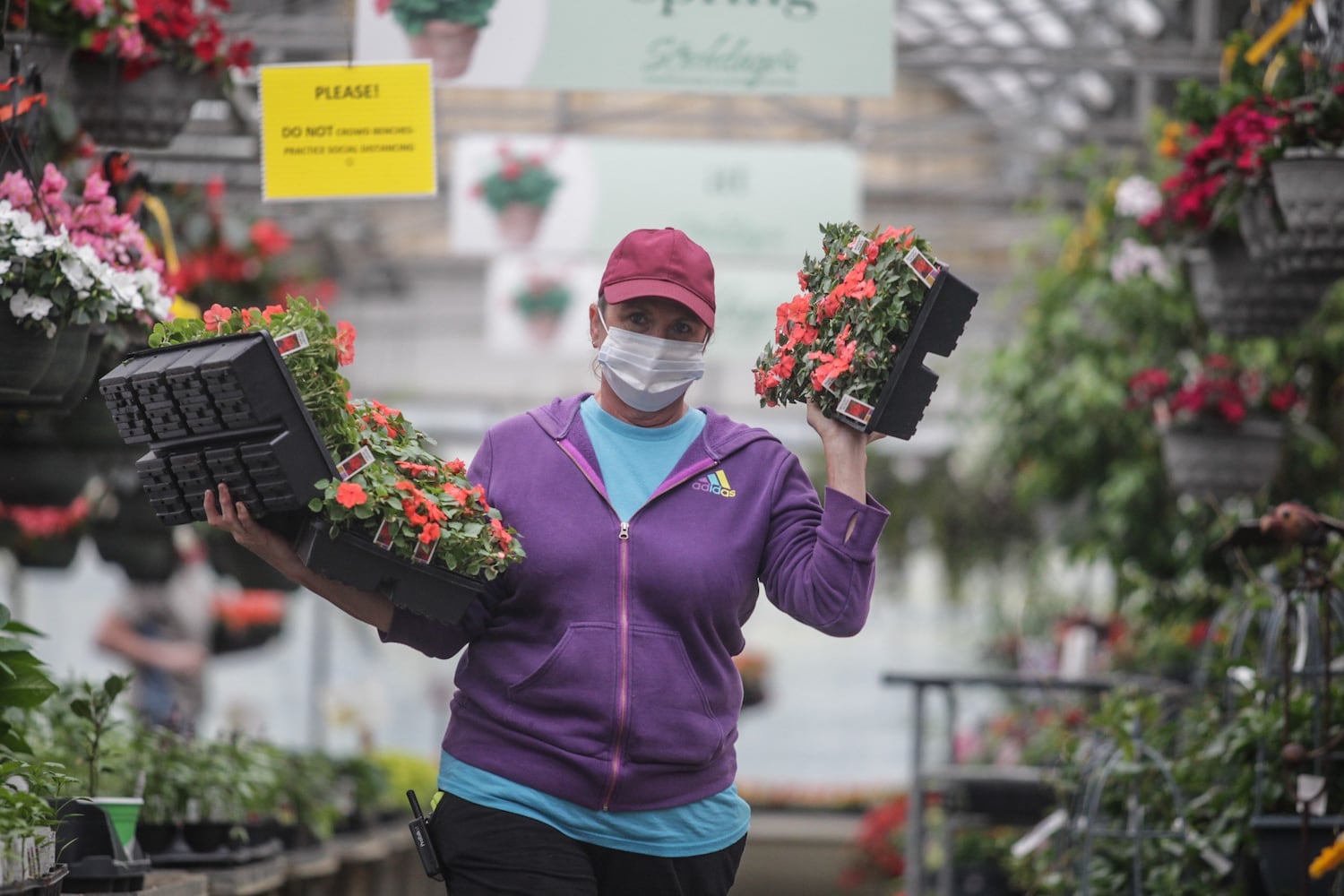 Coronavirus: Local garden centers see “record-breaking” sales amid pandemic