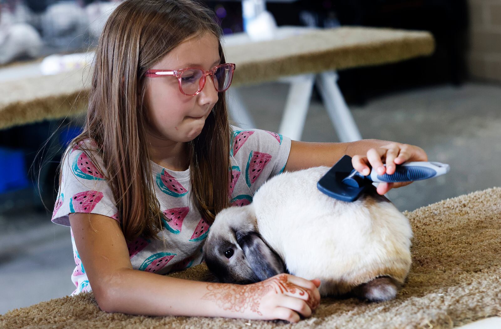 Enon Sparks, age 9, of Xenia grooms her bunny, Oliver, Tuesday, July 30, 2024 at the Greene County Fair. MARSHALL GORBY\STAFF