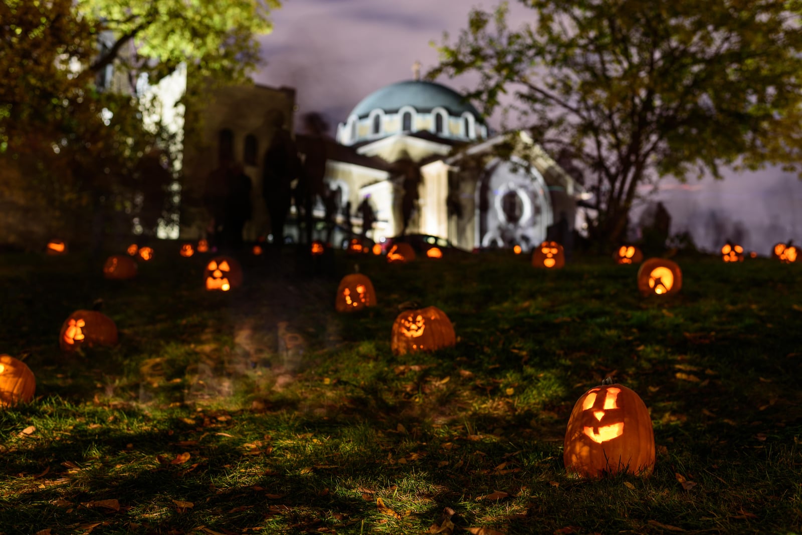 The Stoddard Avenue Pumpkin Glow takes place on the hill behind Annunciation Greek Orthodox Church, located at 500 Belmonte Park North. Close to 1,000 glowing pumpkins carved by volunteers are illuminated on the hillside during the free community event hosted by the Grafton Hill Historic District. TOM GILLIAM / CONTRIBUTING PHOTOGRAPHER