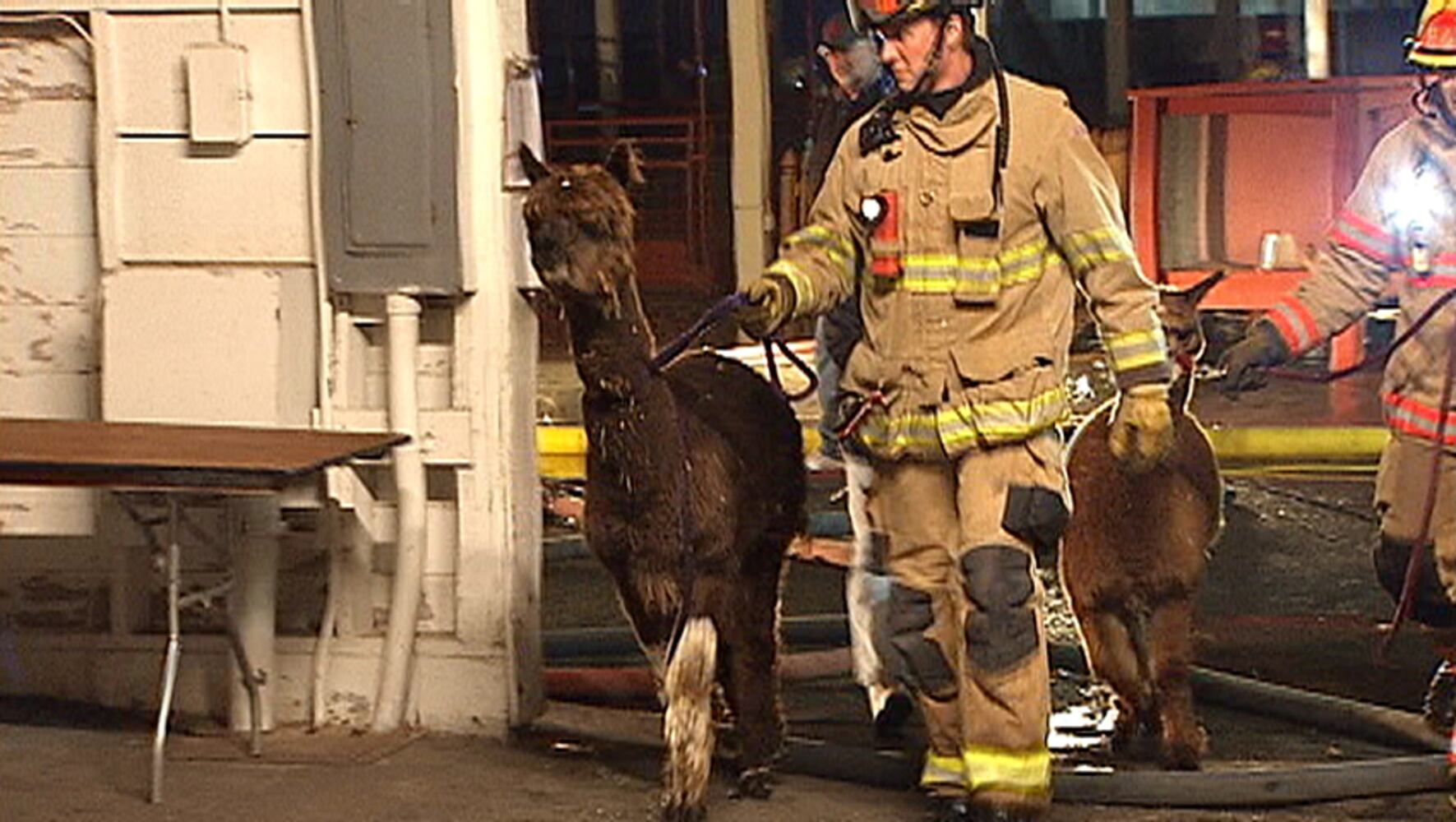 Fire at Washington State Fair Evergreen Hall