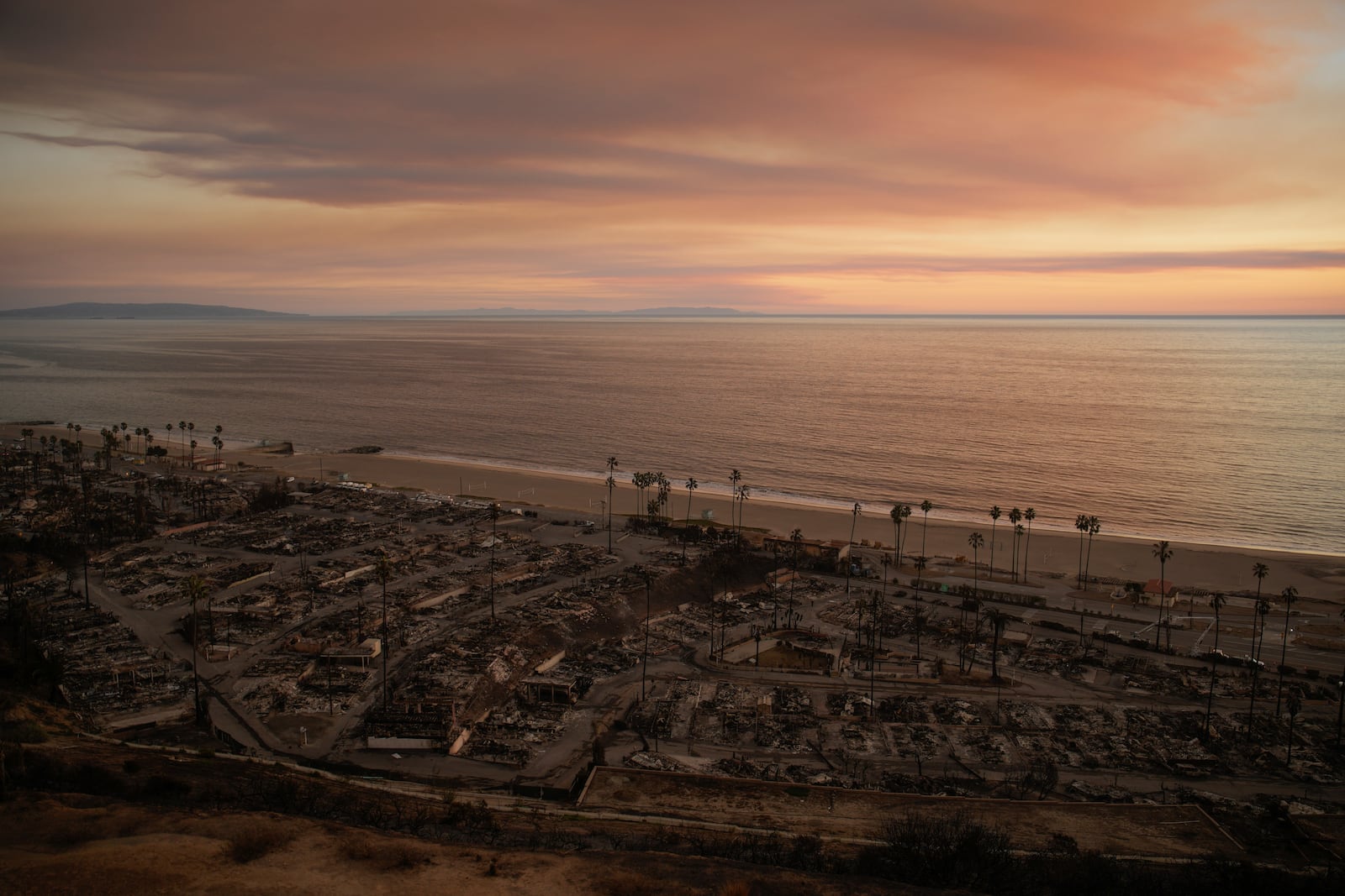 A neighborhood destroyed by the Palisades Fire is seen Friday, Jan. 10, 2025, in the Pacific Palisades section of Los Angeles. (AP Photo/John Locher)