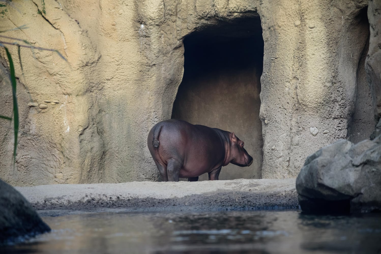 BEHIND THE SCENES: Take a look at what Fiona and Bibi are up to after hours