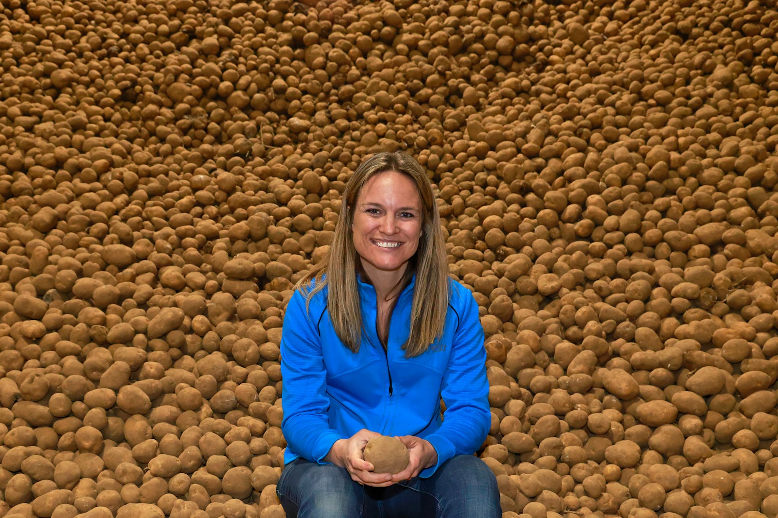 Fourth generation potato farmer, Kathy Sponheim, has a lot of spuds at Michael Family Farms in Champaign County. Kathy's family supplies potatoes to the great lakes region of the country. BILL LACKEY/STAFF