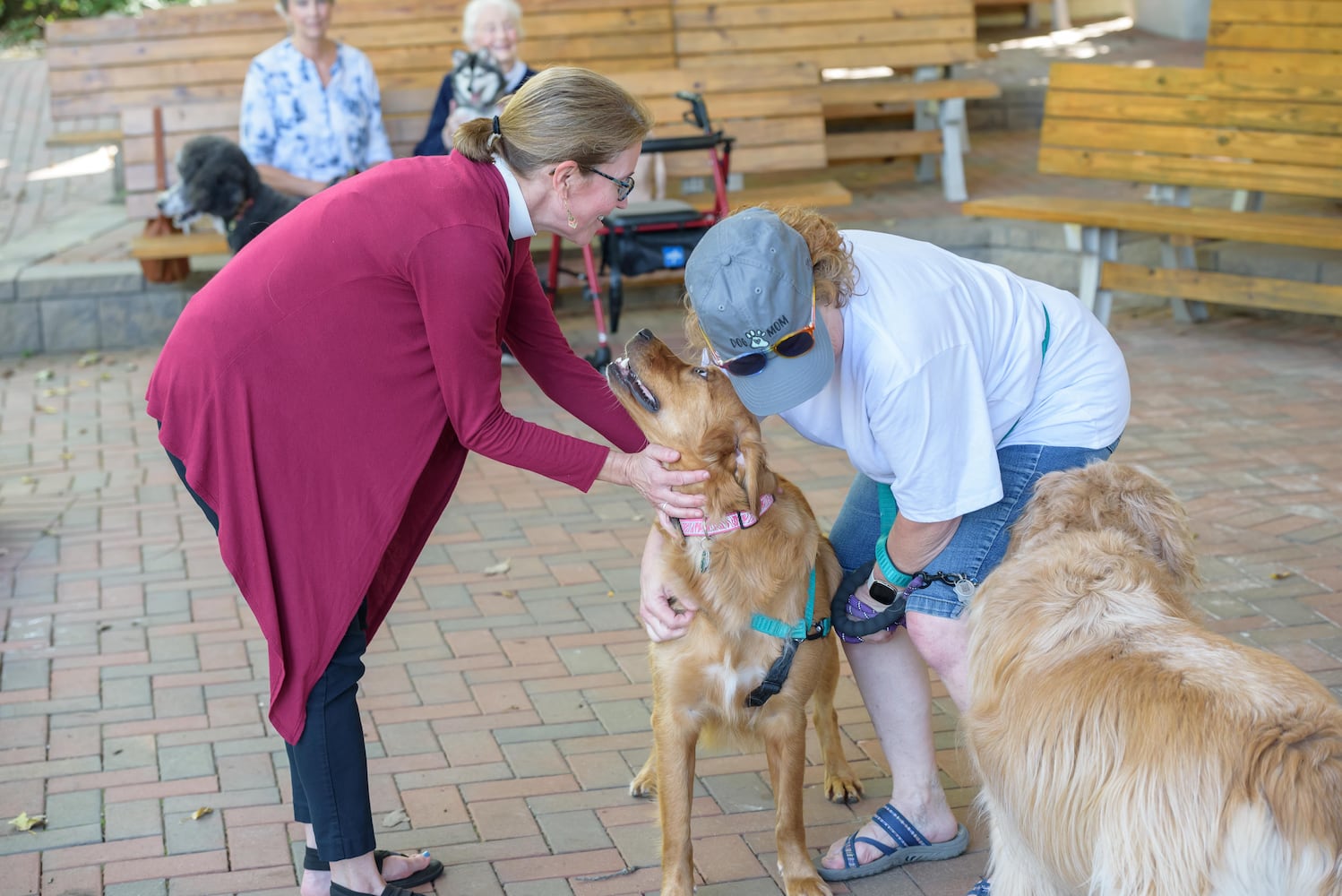 PHOTOS: 2024 Blessing of the Animals at Epiphany Lutheran Church