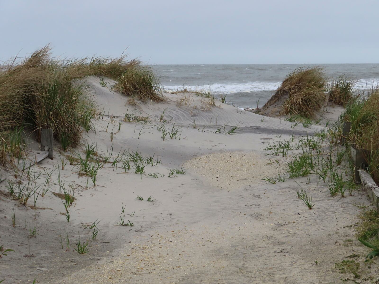 An undeveloped stretch of beach is seen on May 11, 2022, in Brigantine, N.J., where opponents of offshore wind projects worry about adverse affects from construction and operation of the ocean-based turbines. (AP Photo/Wayne Parry)