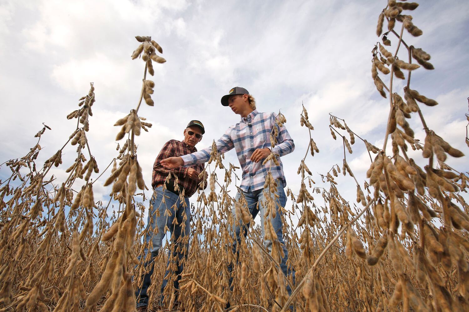 Ohio farmers face tough decisions amid trade war crossfire