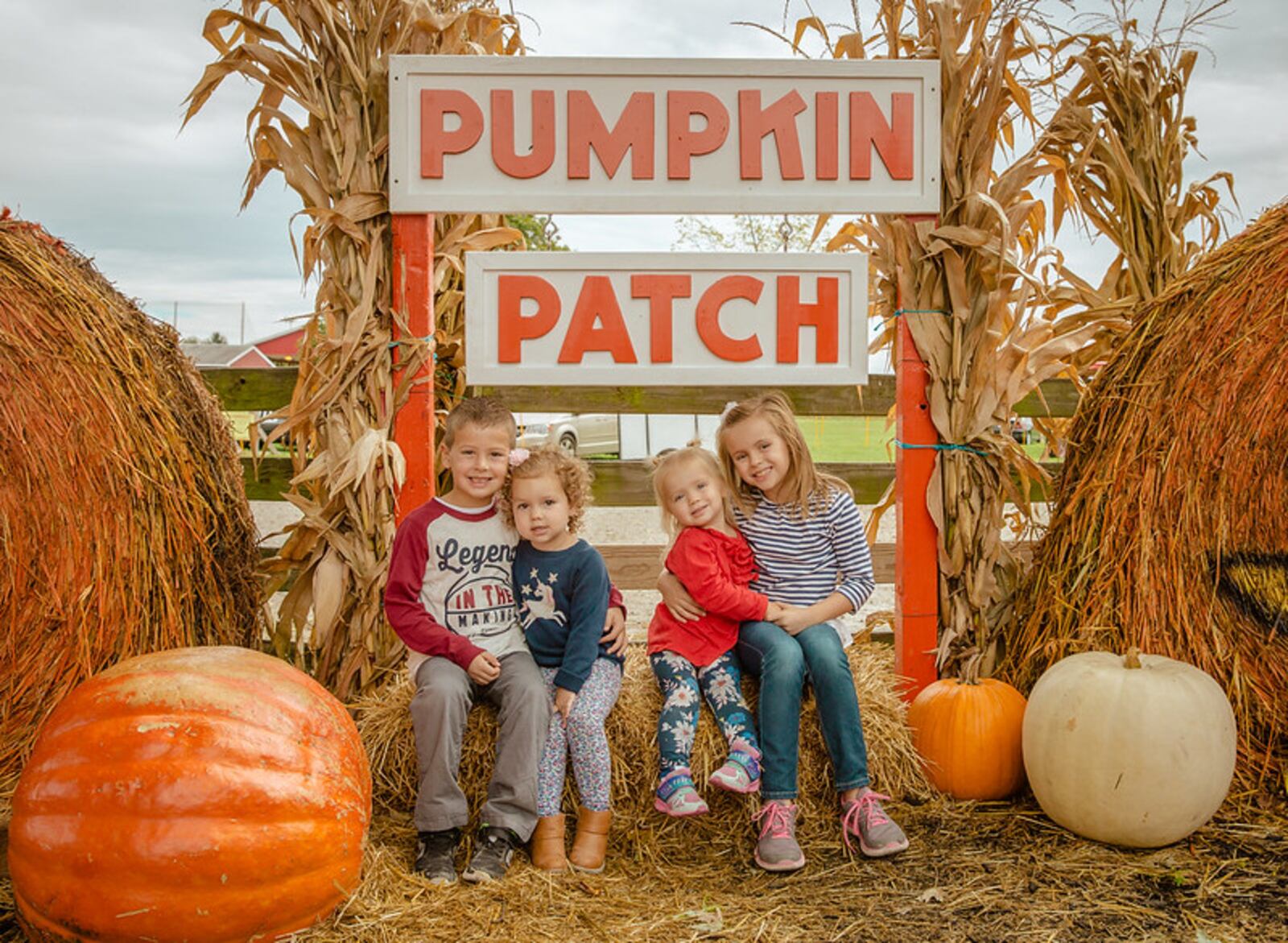 Fall Farm Family Fun is in full swing at Young's Jersey Dairy. CONTRIBUTED