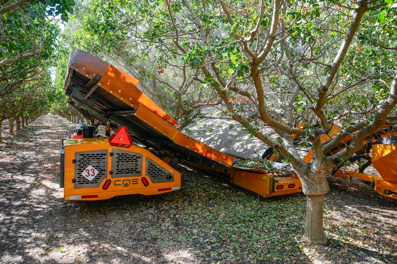 Wonderful Orchards uses two machines to shake pistachio trees during harvest at the Wonderful Pistachios & Almonds orchard in Lost Hills, Calif., on Friday, Oct. 25, 2024. (AP Photo/Damian Dovarganes)