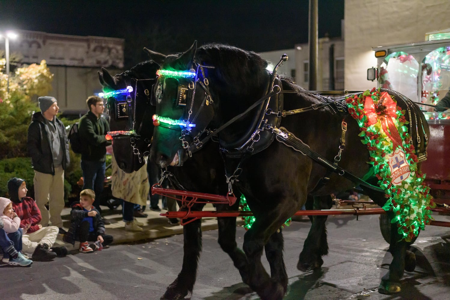 PHOTOS: 2024 Downtown Piqua Holiday Horse Parade