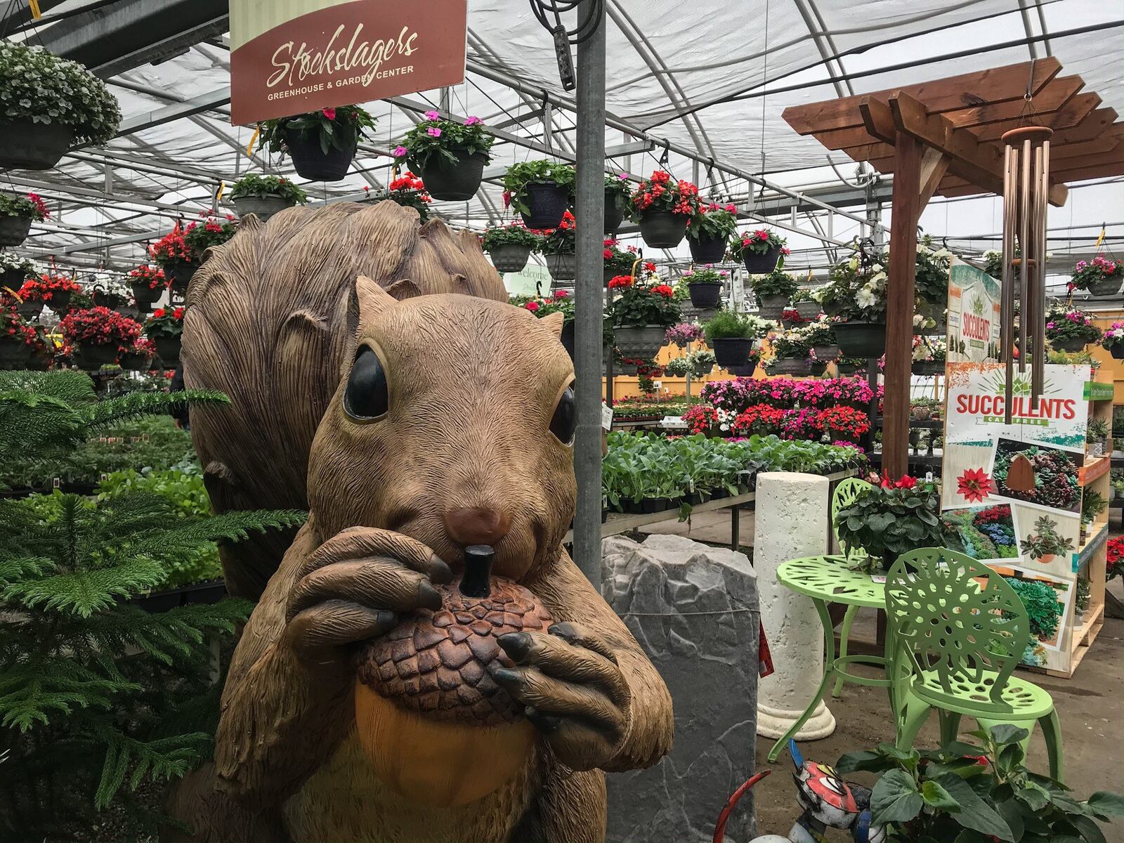 Business at Stockslagers Greenhouse and Garden Center in New Lebanon has been busy this Spring. Lots of people are buy veggie plant and are interested in gardening because of the coronavirus. JIM NOELKER/STAFF