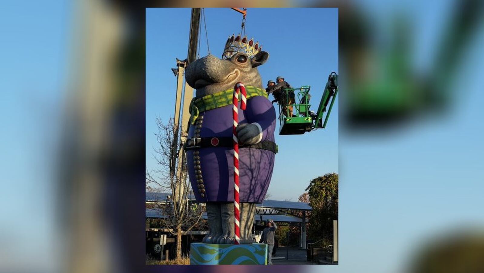 The Cincinnati Zoo has erected a 24-foot tall statue of Fiona, its popular hippo, at the main entrance for those who attend the PNC Festival of Lights to see. It took 12 people 1,650 hours to get it created. CONTRIBUTED/CINCINNATI ZOO