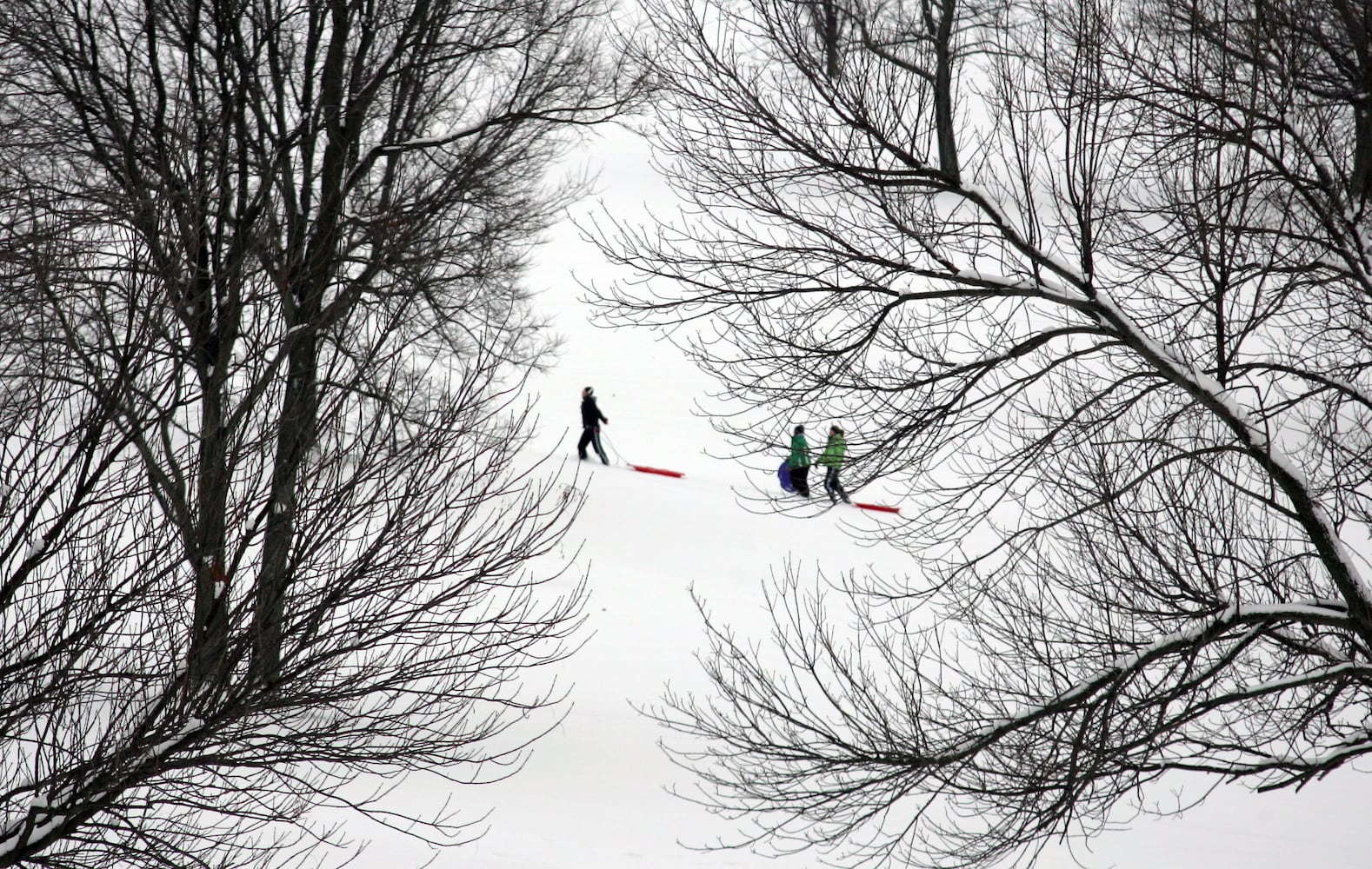 Popular sledding hills you should visit