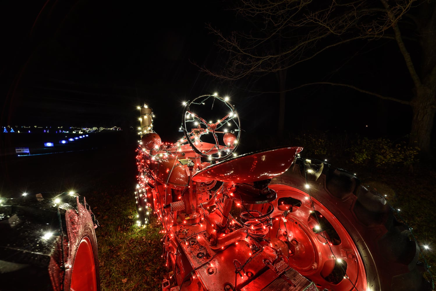 PHOTOS: 2024 Holiday Lights at Lost Creek Reserve in Troy