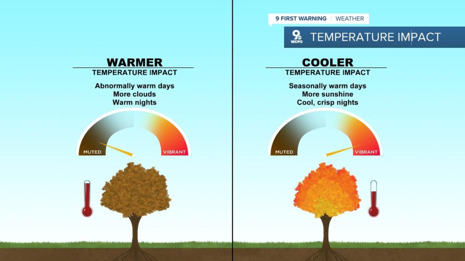 Temperature impact on fall color. JENNIFER KETCHMARK/WCPO