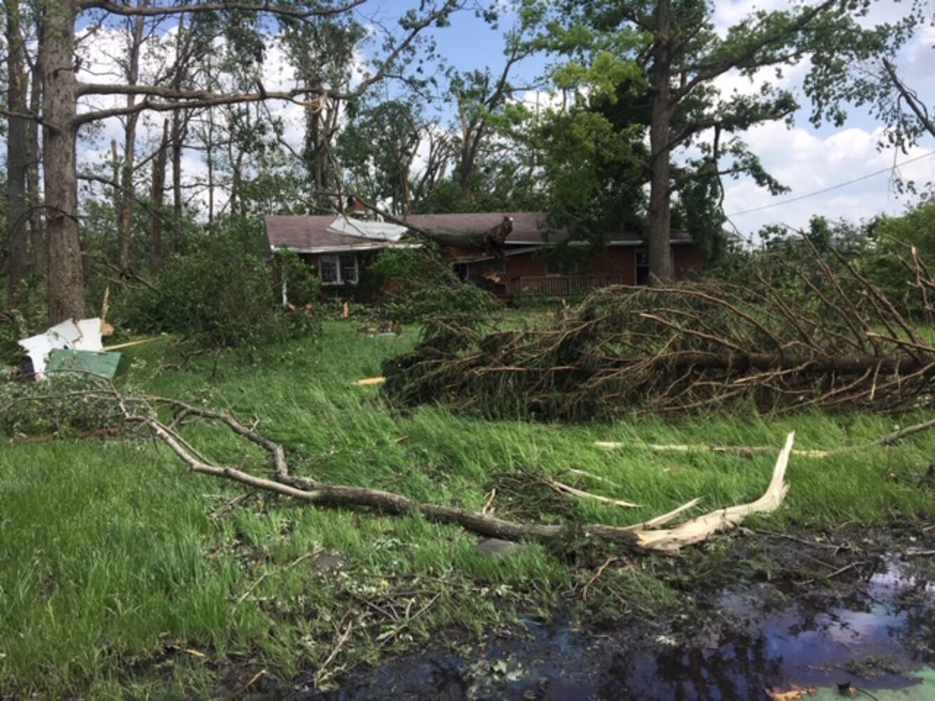 PHOTOS: Daylight reveals widespread damage from Monday storms