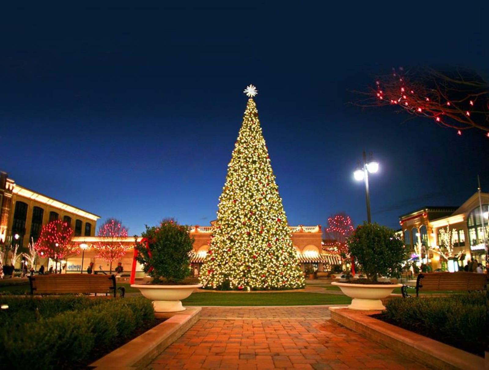 The Greene Shopping Center Christmas Tree illuminated