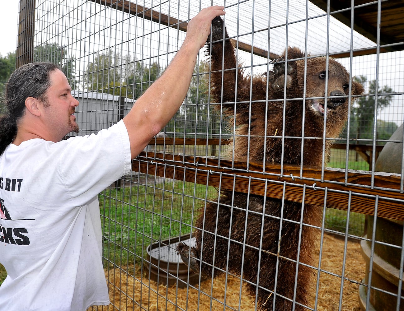 Bear in man’s backyard raises Bethel trustee’s ire