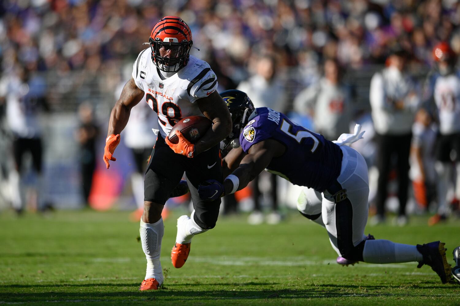 Bengals Ravens Football