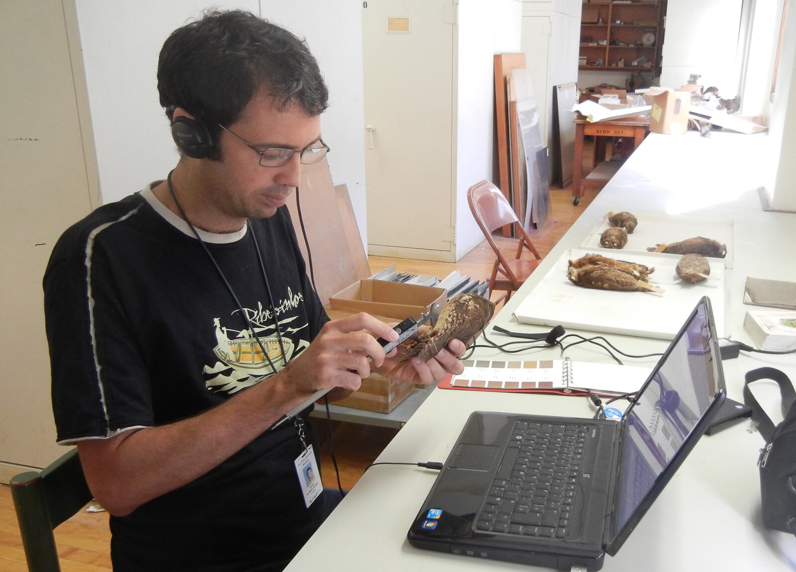             Brazilian scientist Sidnei Melo Dantas named a new species of screech owl discovered in the Amazon for Sister Dorothy Stang, a Dayton-born nun. CONTRIBUTED PHOTO / FIELD MUSEUM                