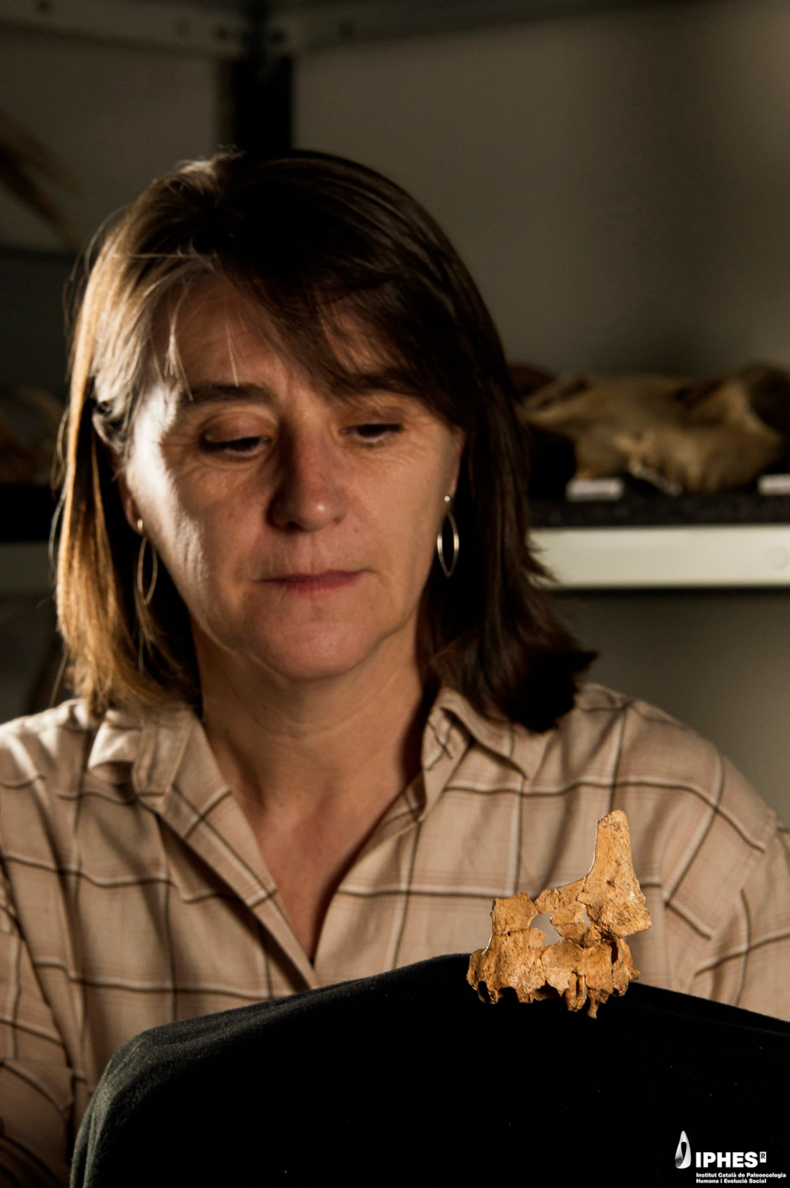 This photo provided by the Catalan Institute of Human Paleoecology and Social Evolution in March 2025, shows Dr. Rosa Huguet, a researcher at IPHES-CERCA and professor at Rovira i Virgili University, with the fossil of a hominin between 1.1 million and 1.4 million years old, found at an archaeological site in Spain. (Maria D. Guillén/IPHES-CERCA via AP)