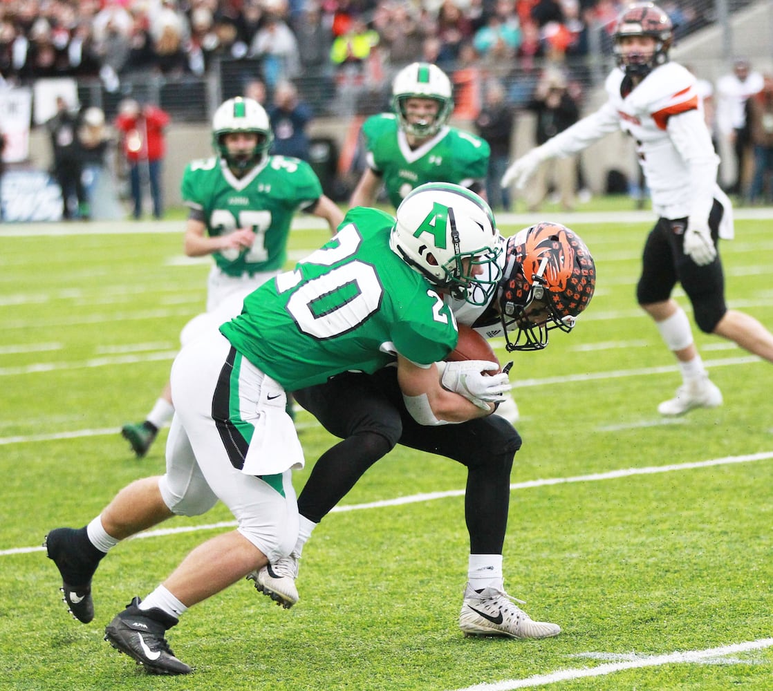 PHOTOS: Anna wins Division VI state football championship