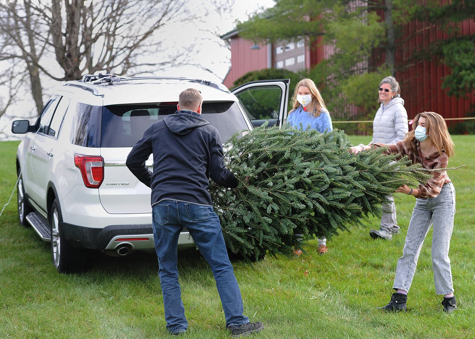 From left, Neal, Lily, Christy and Laurel, the Kennedy family from Springboro, prepare to place their fresh cut Christmas tree they purchased from Red Barn Tree Farm in Miamisburg onto the top of their SUV on Friday, Nov 27, 2020. MARSHALL GORBY\STAFF