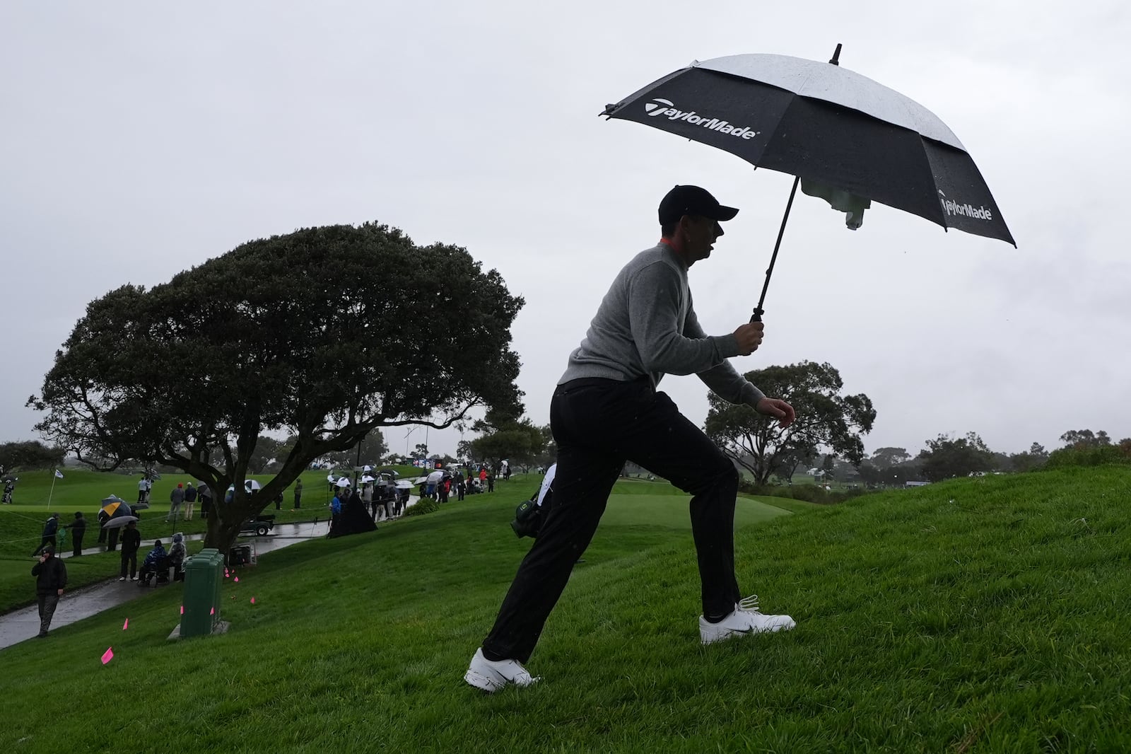 Rory McIlroy, of Northern Ireland, uses an umbrella on the sixth hole of the South Course at Torrey Pines during the first round of the Genesis Invitational golf tournament Thursday, Feb. 13, 2025, in San Diego. (AP Photo/Gregory Bull)