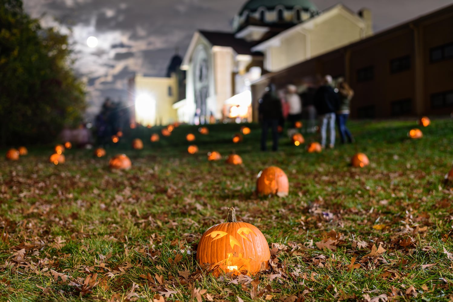 PHOTOS: The Stoddard Avenue Pumpkin Glow Night 1