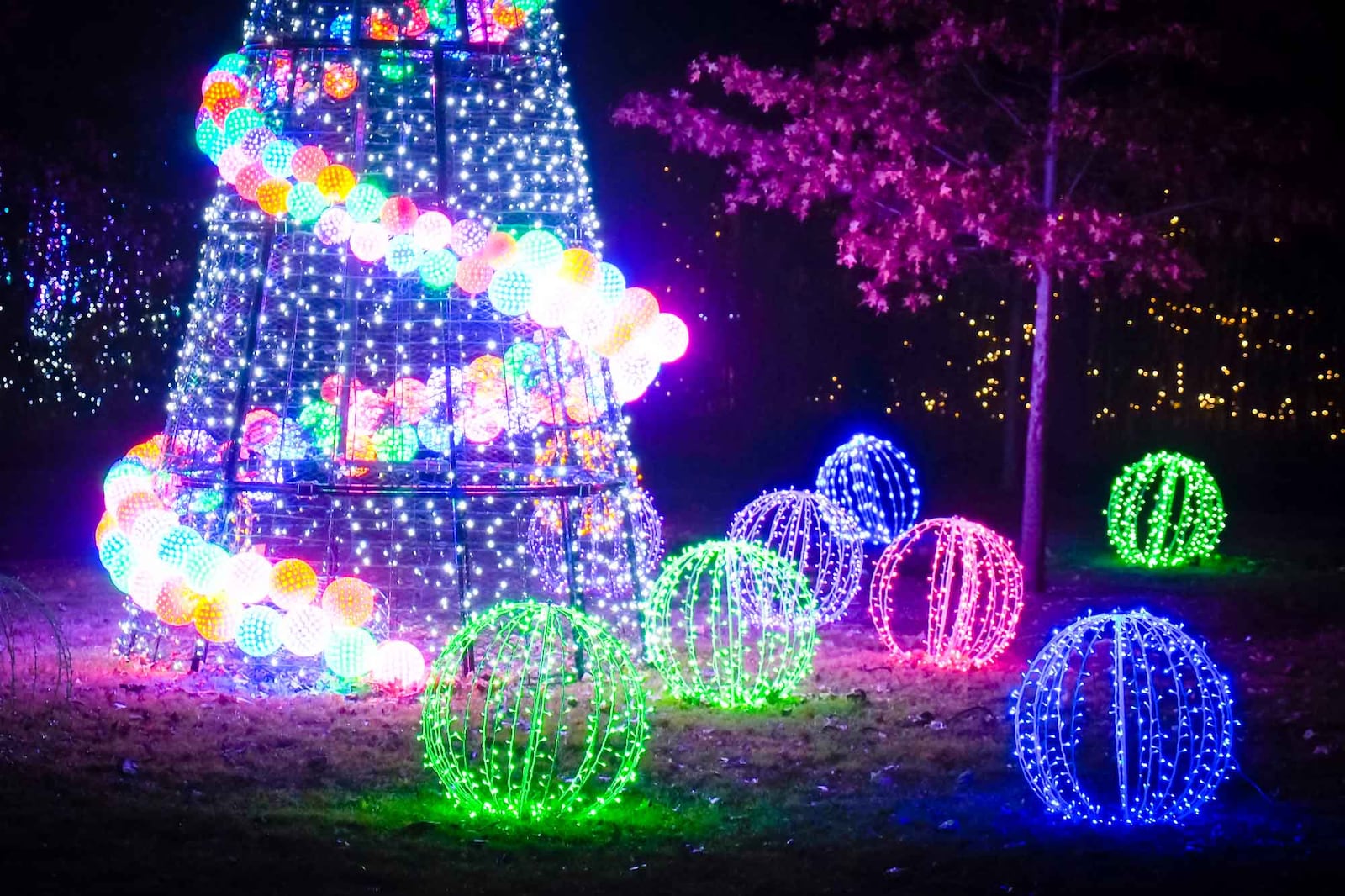 Scenes fromt the Cincinnati Zoo and Botanical Garden 37th annual Festival of Lights. GREG LYNCH / STAFF