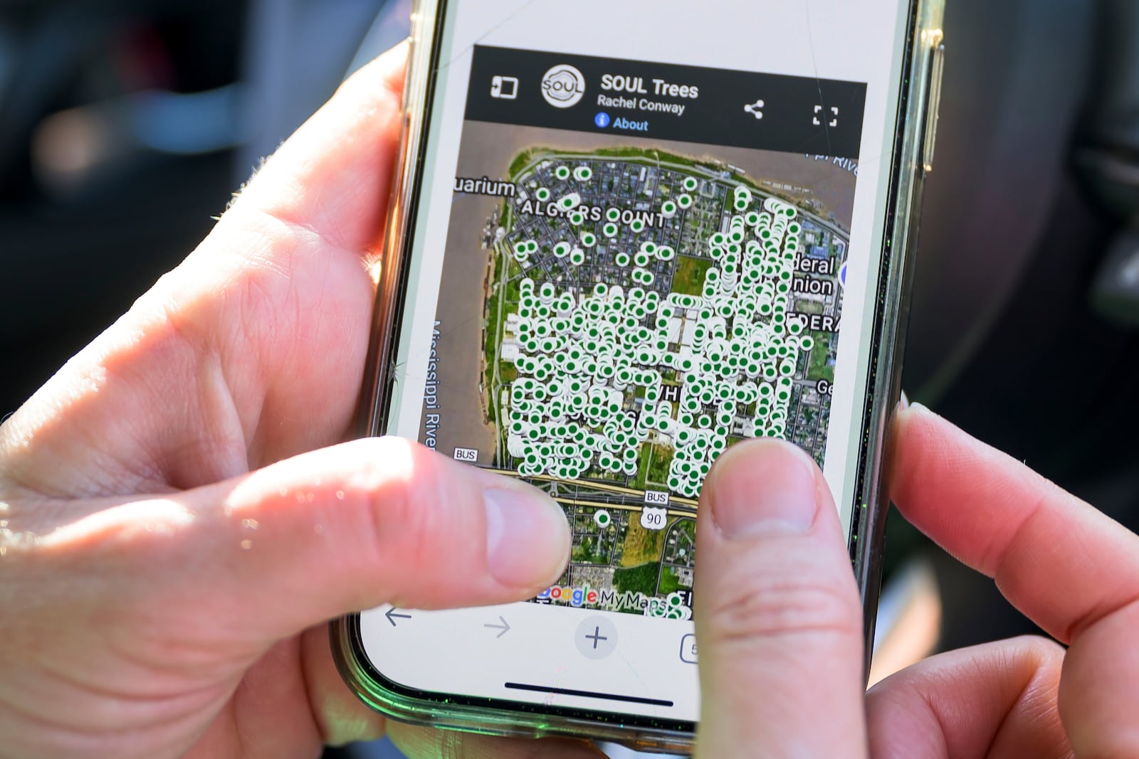 Susannah Burley, founding director of SOUL (Sustaining Our Urban Landscape), uses a map on the group's website that shows some of the trees the group has planted in New Orleans, Thursday, Feb. 27, 2025. (AP Photo/Matthew Hinton)