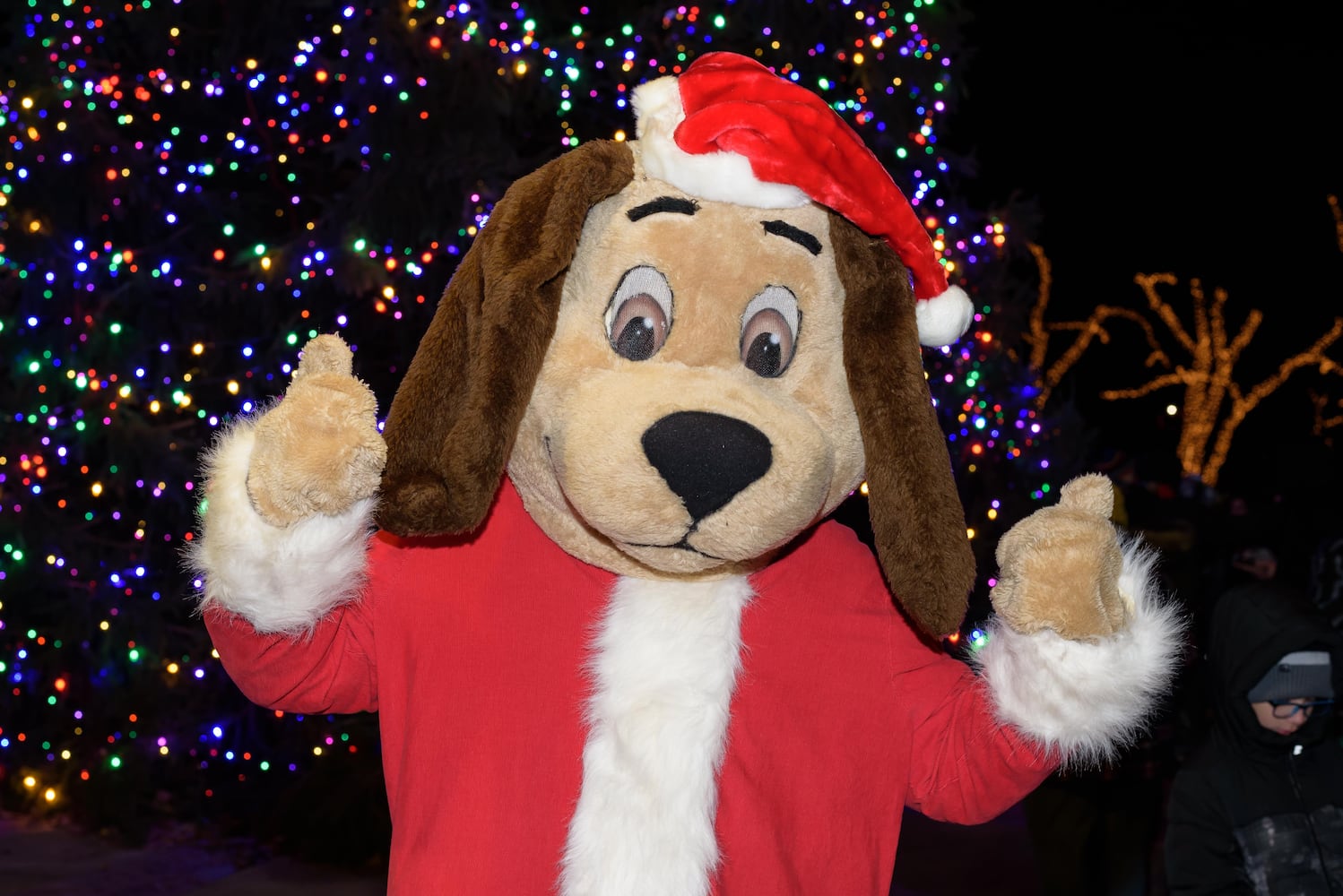 PHOTOS: 2024 Kettering Mayor's Tree Lighting at Lincoln Park Civic Commons