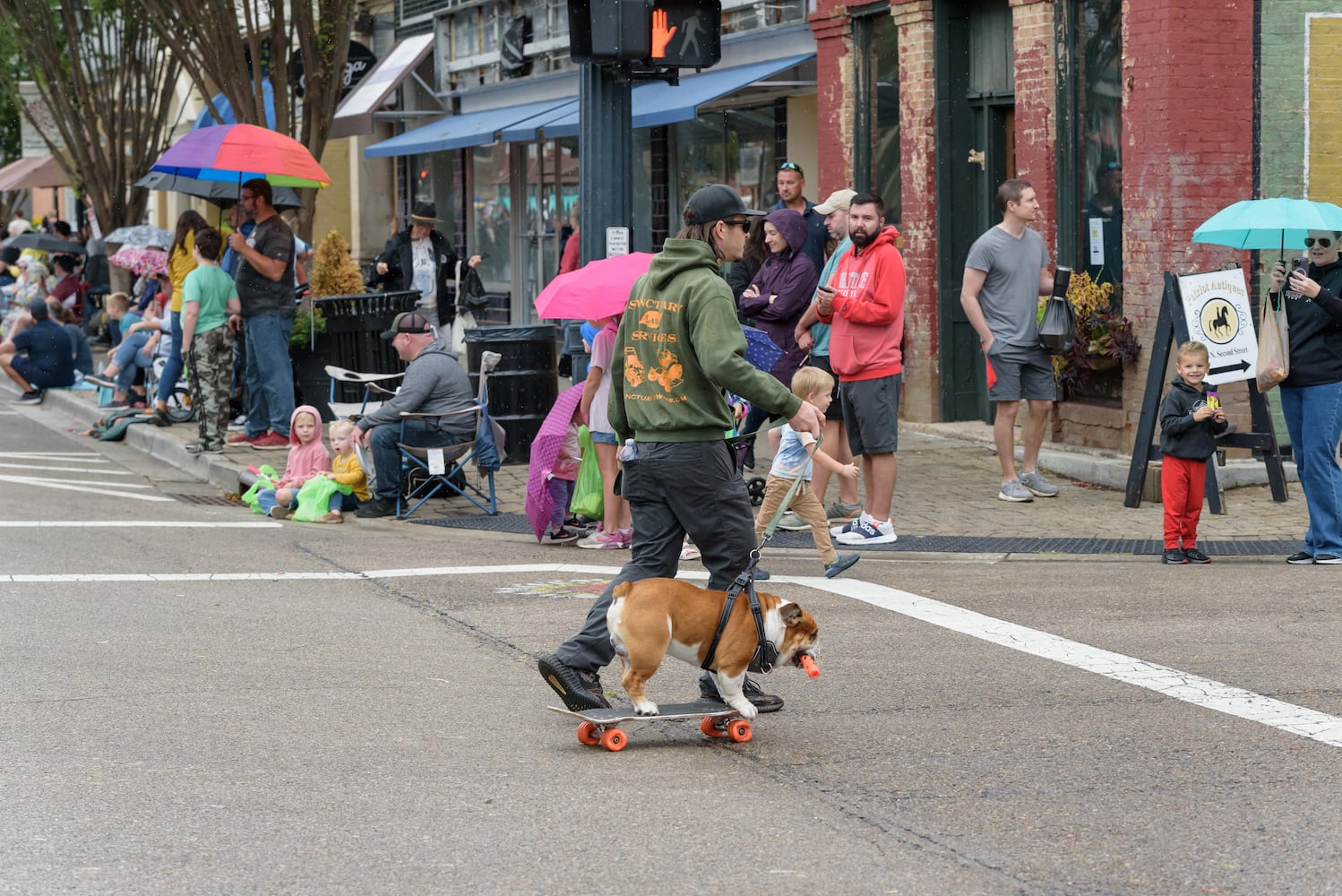 PHOTOS: 2024 Tipp City Mum Festival Parade