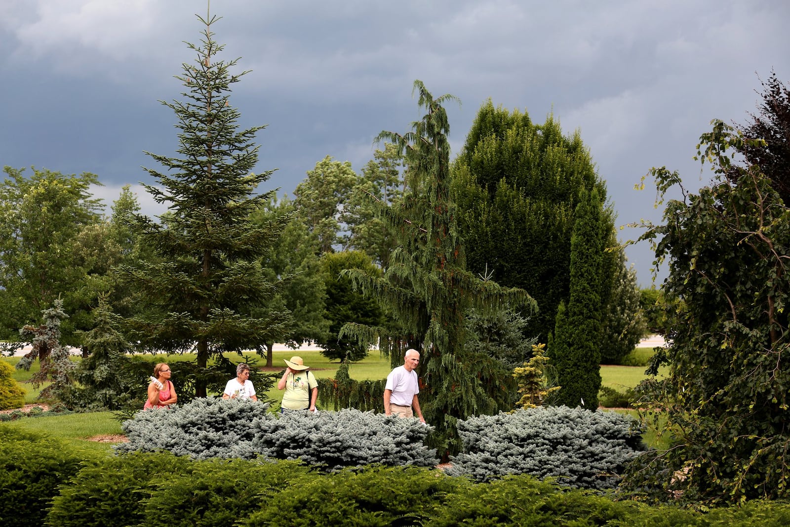 File - Miami County Master Gardeners tour 27 acres of trees at Barbara Bailey’s arboretum in Tipp City in 2015. LISA POWELL/STAFF