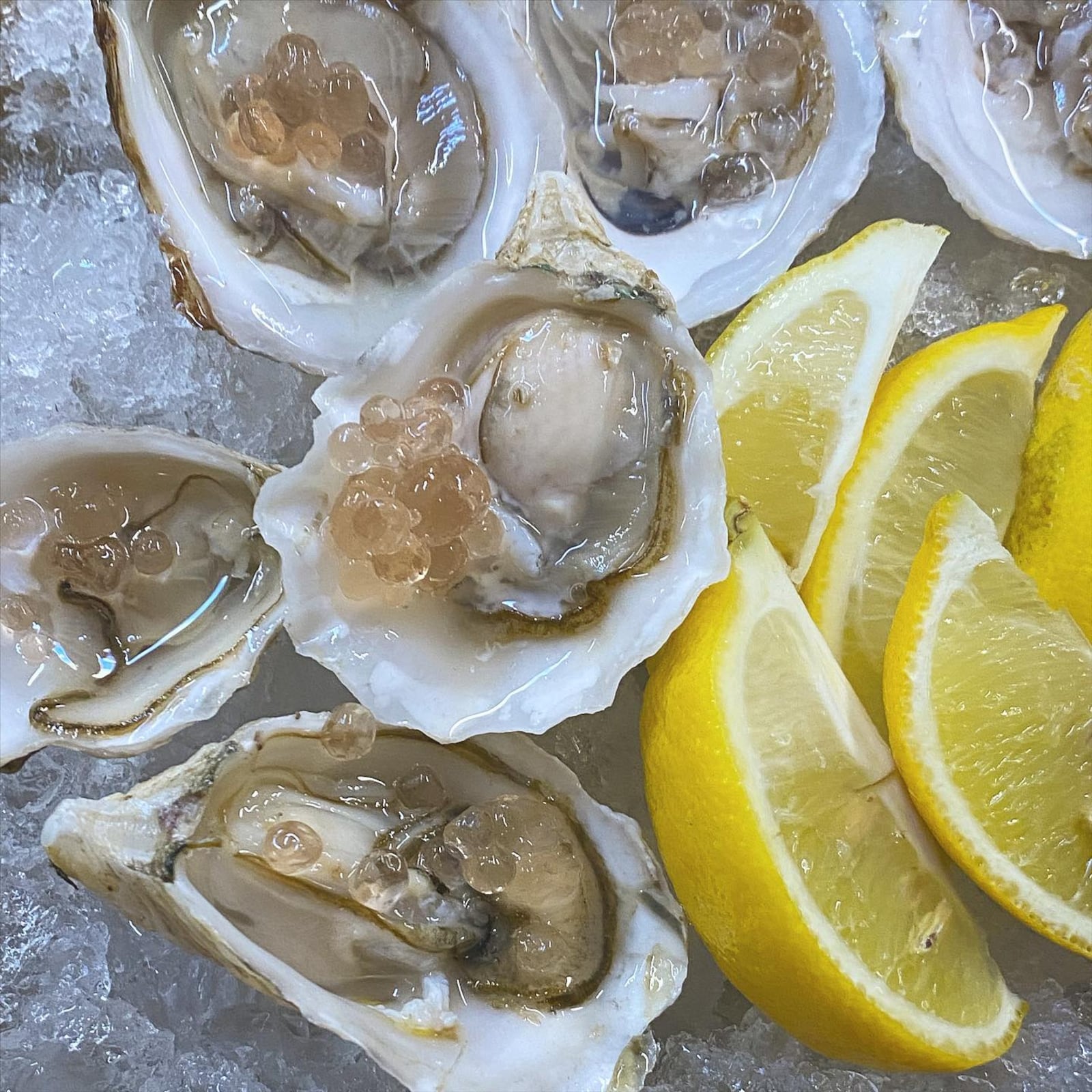 Oysters at the Silver Slipper