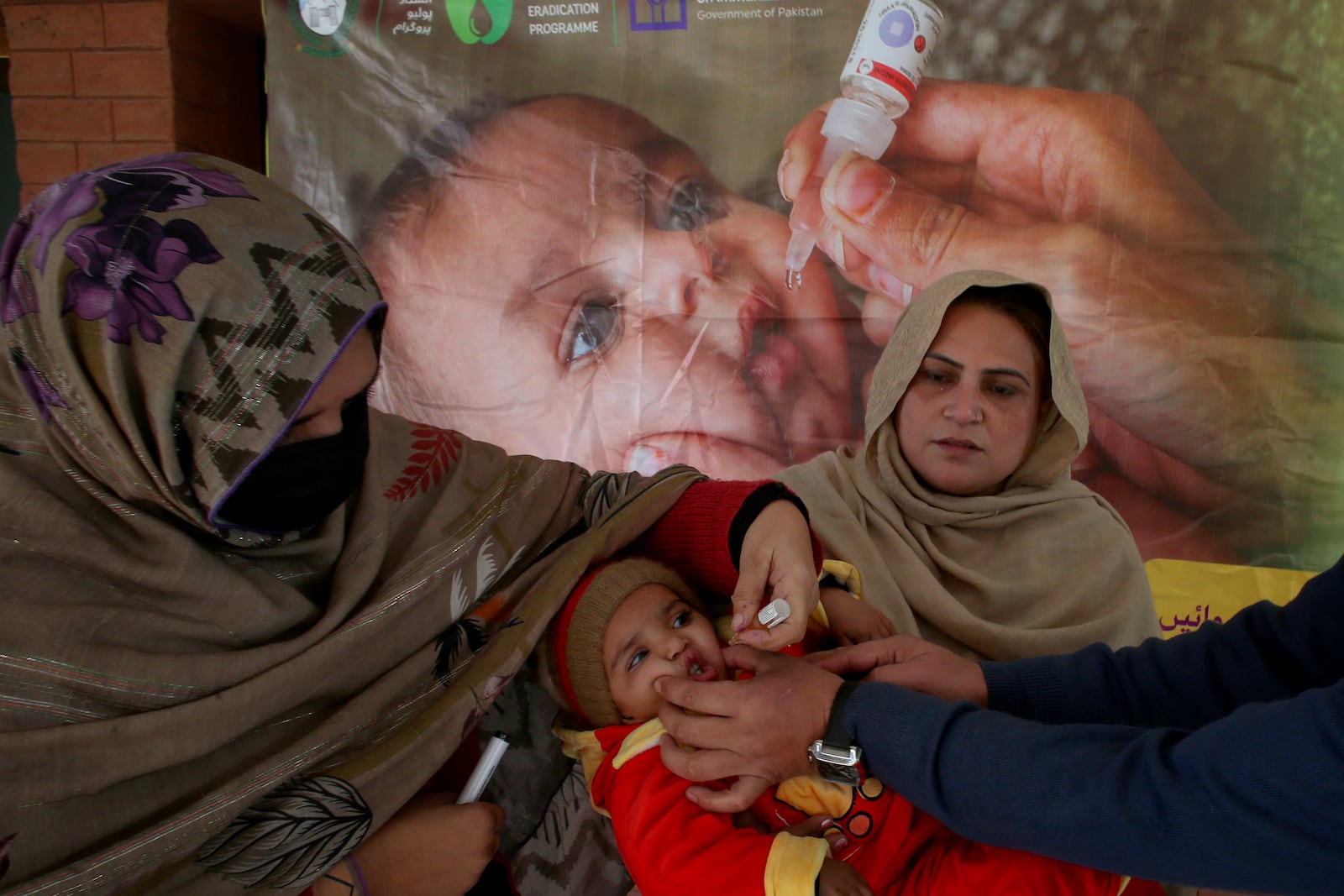 A health worker administers a polio vaccine to a child at a health center in Peshawar, Pakistan, Monday, Dec. 16, 2024. (AP Photo/Muhammad Sajjad)