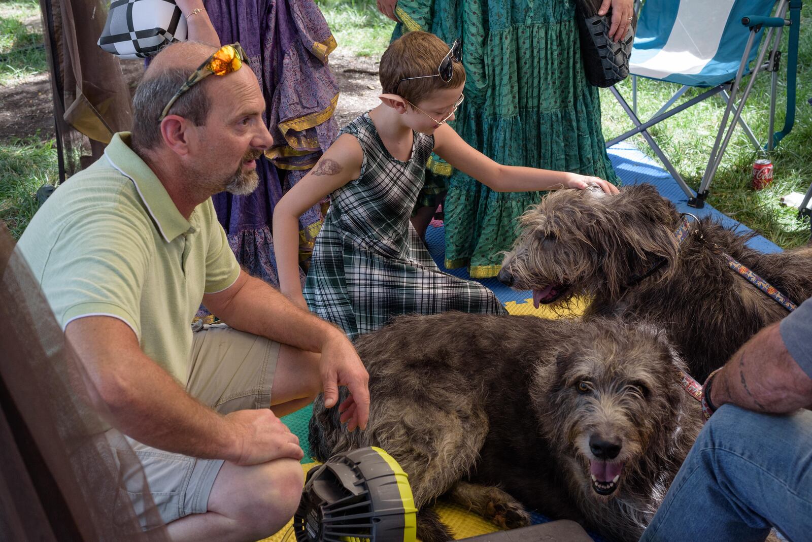 There will be several exhibits at the festival sharing the knowledge of Celtic history, language, genealogy and much more. One returning favorite is the Irish Wolfhounds in Legend and Lore, presented by the Cú & Craic Irish Wolfhound Club. TOM GILLIAM / CONTRIBUTING PHOTOGRAPHER