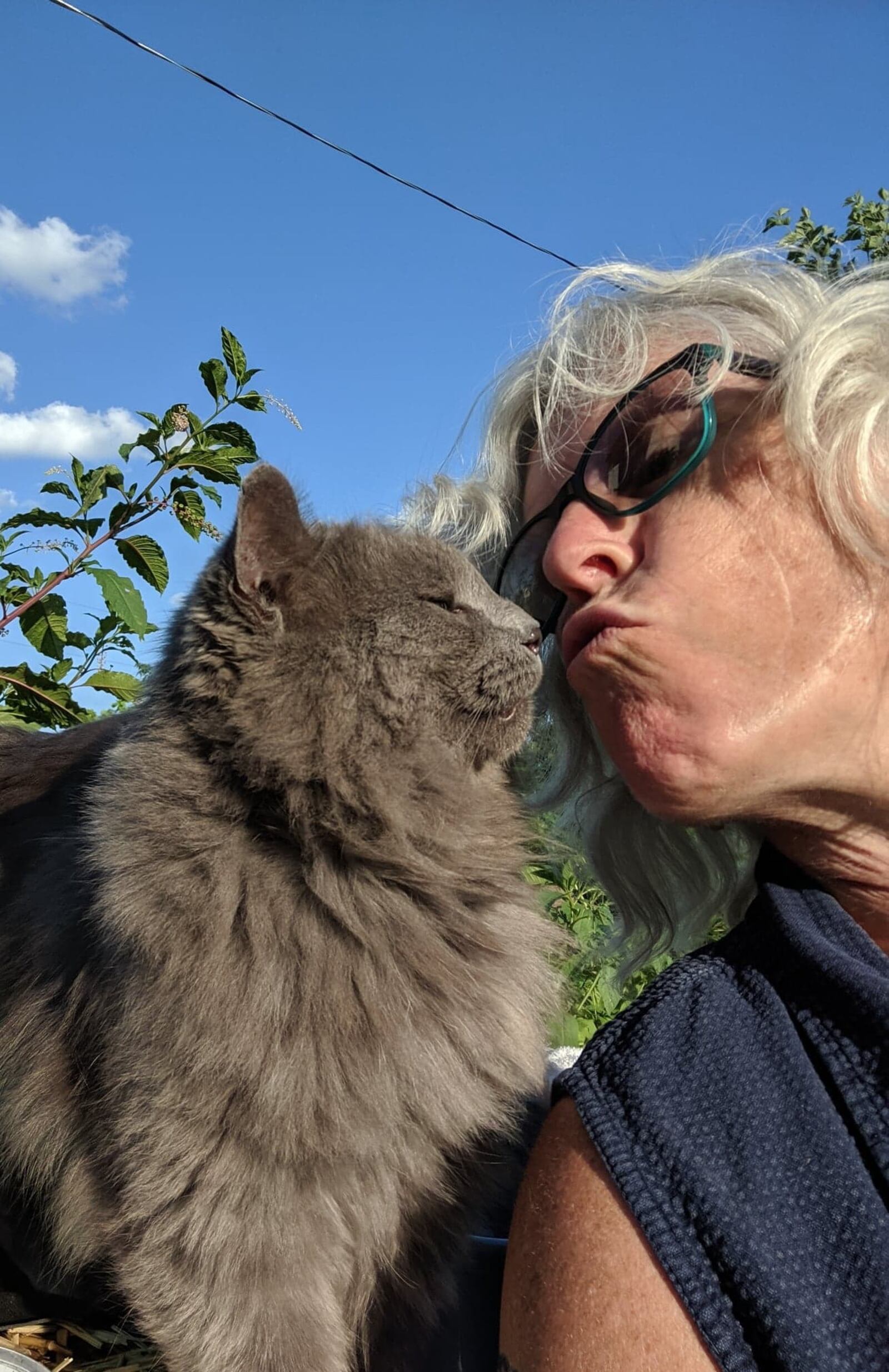 Repair work has continues at Robin and Chris Sassenberg's home on in Dayton. Much progress has happened since the Memorial Day tornadoes.  Robin Sassenberg gives her cat Slim Shady a kiss. The cat went missing during the storm, but made his way back home weeks later.