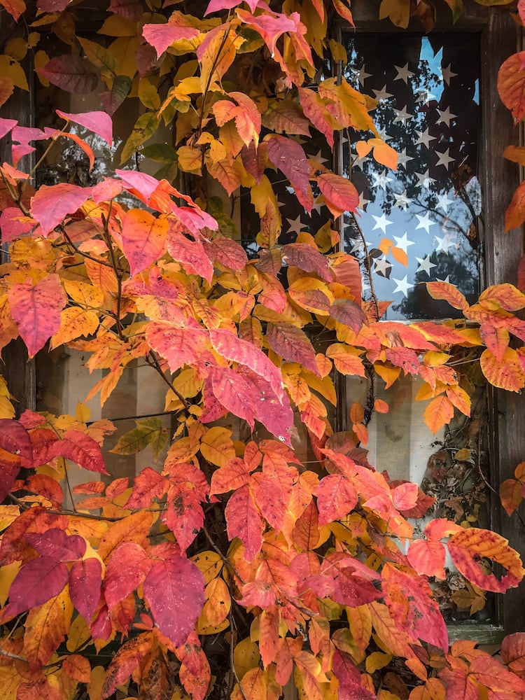 Fall colors paint the Dayton area